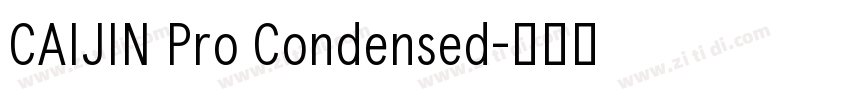 CAIJIN Pro Condensed字体转换